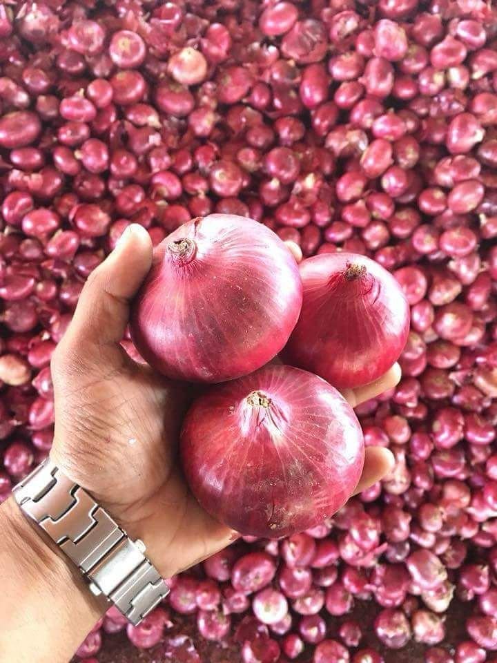 Fresh Vegetables